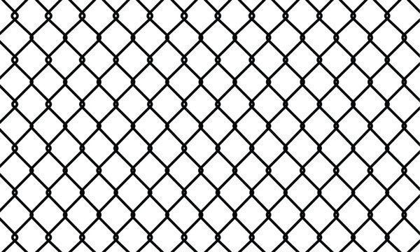 Chain Link